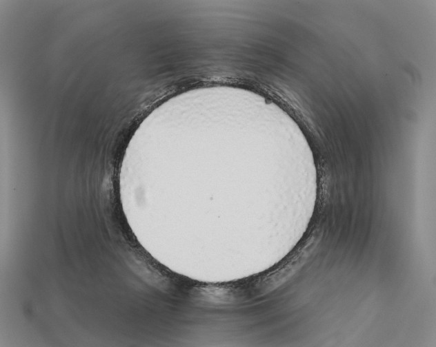 X0000112430265200909251543