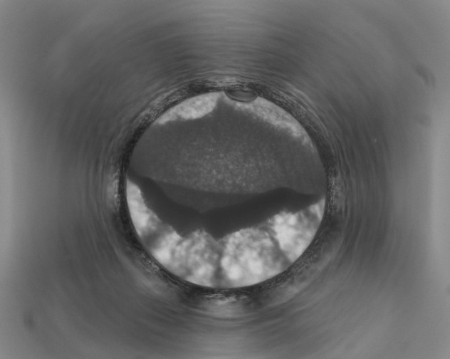 X0000112430267200909251543