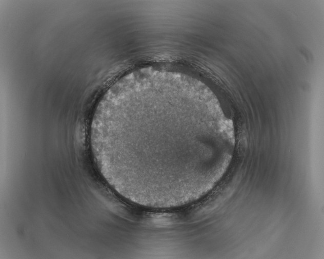 X0000112430268200909251543