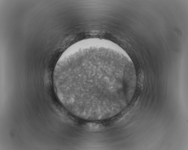 X0000112430272200909251543