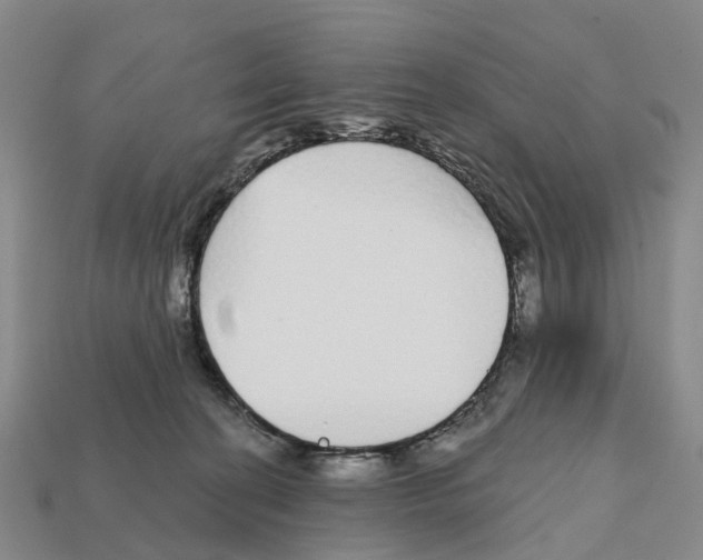 X0000112430274200909251543