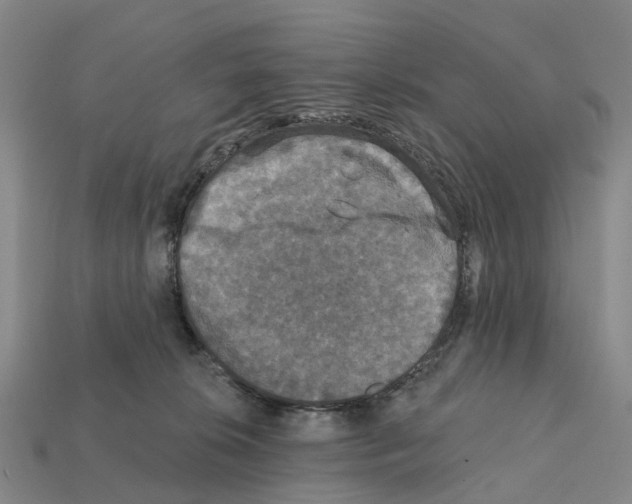 X0000112430276200909251543