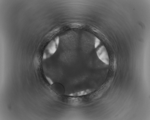 X0000112430277200909251543
