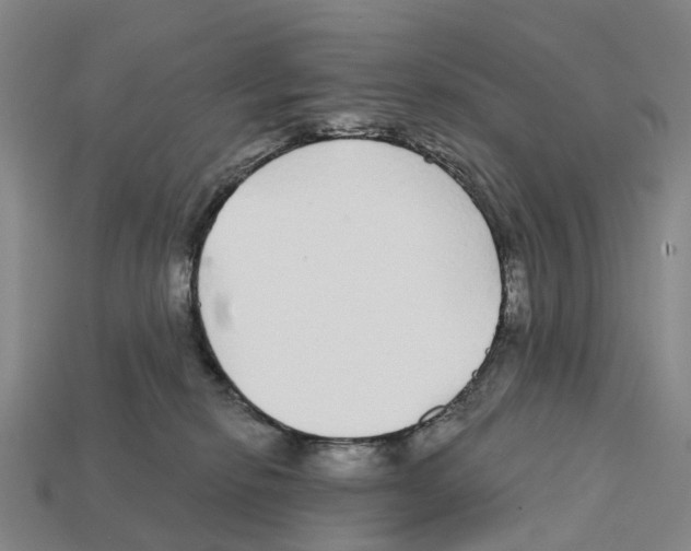 X0000112430278200909251543