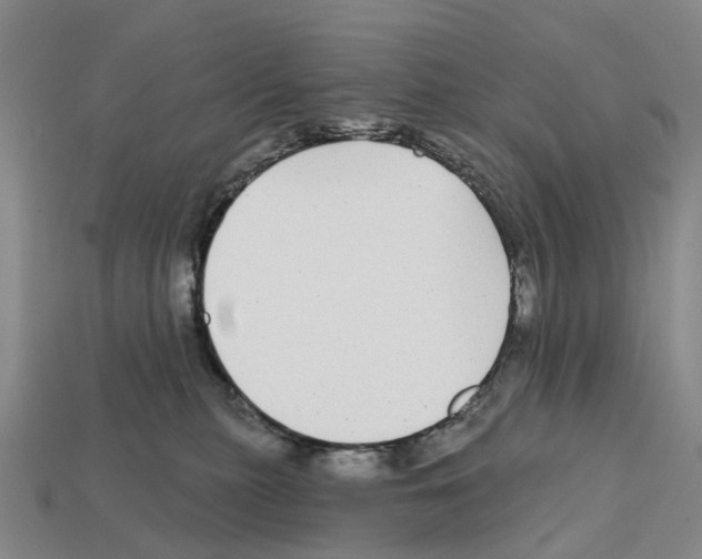 X0000112430279200909251543