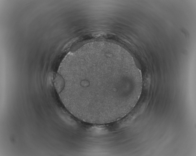 X0000112430280200909251543