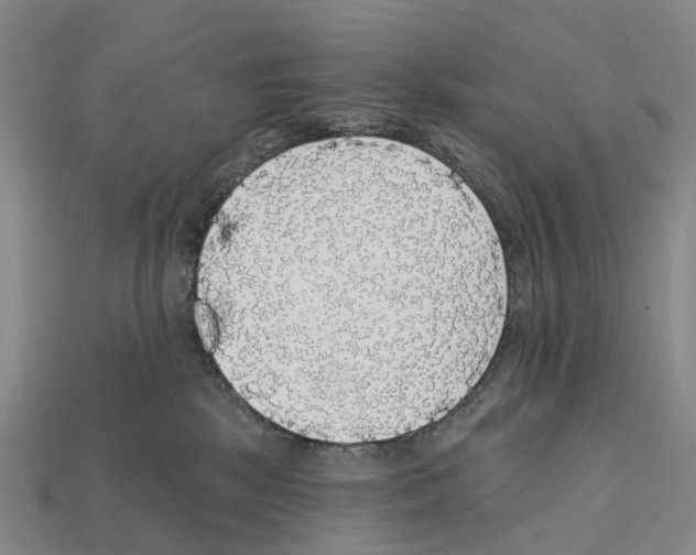 X0000112430281200909251543