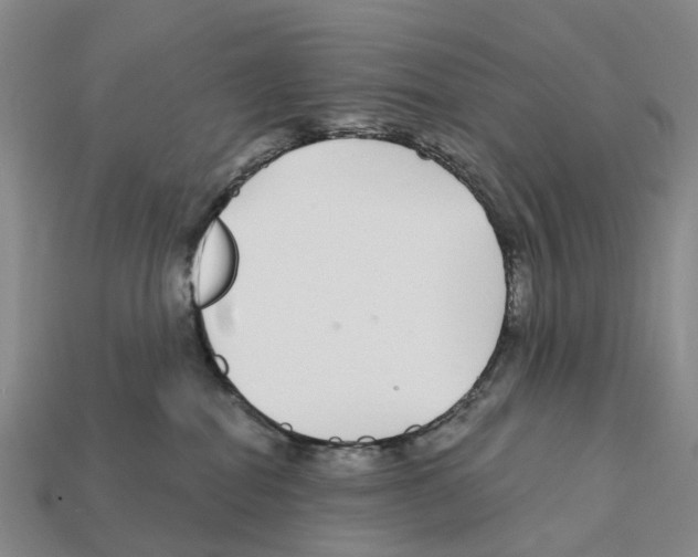 X0000112430282200909251543