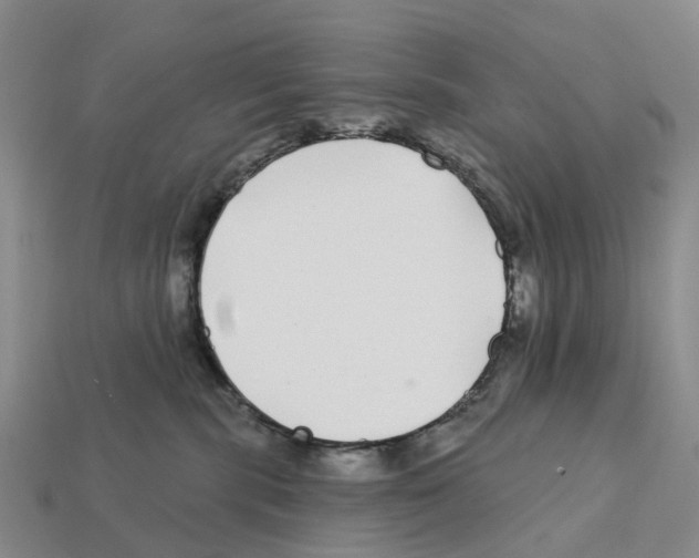 X0000112430283200909251543