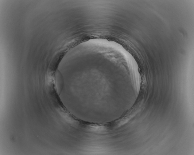 X0000112430284200909251543