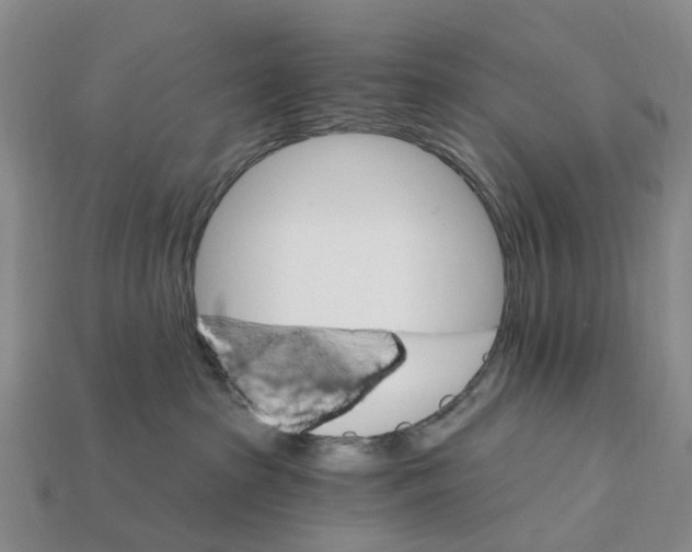 X0000112430285200909251543