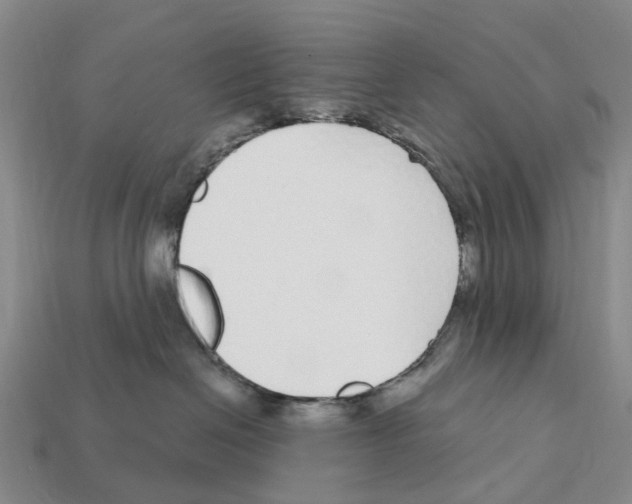 X0000112430286200909251543