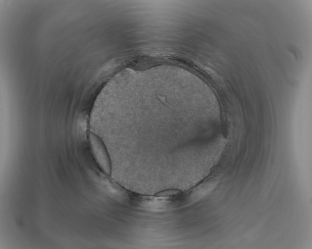 X0000112430288200909251543