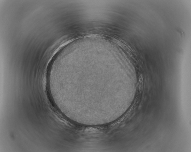 X0000112430290200909251542