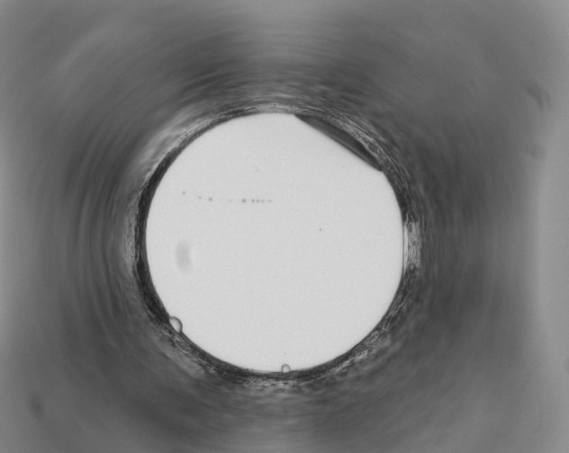 X0000112430291200909251542