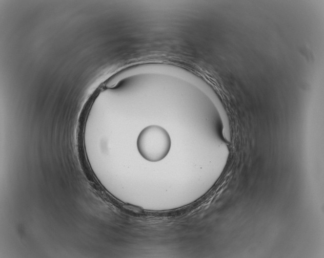 X0000112430292200909251542