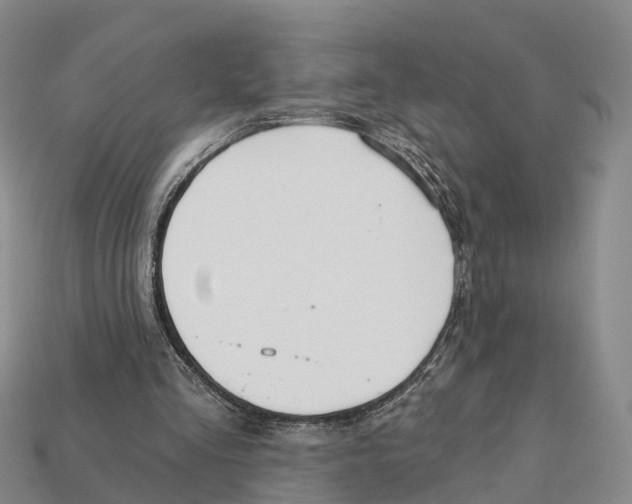 X0000112430293200909251542