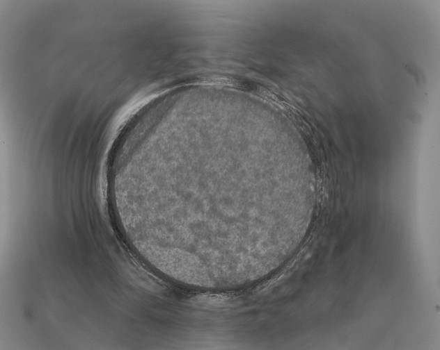 X0000112430294200909251542
