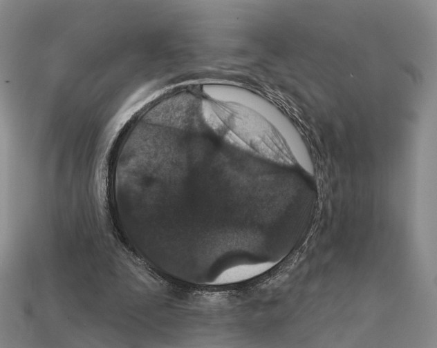 X0000112430295200909251542