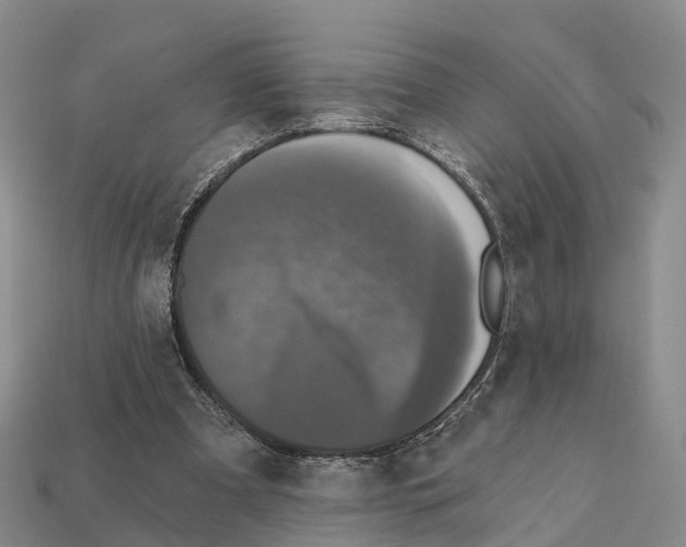 X0000112430297200909251542