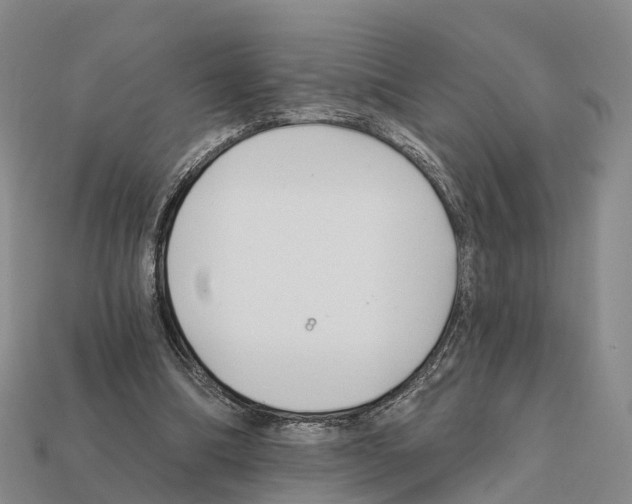 X0000112430298200909251542