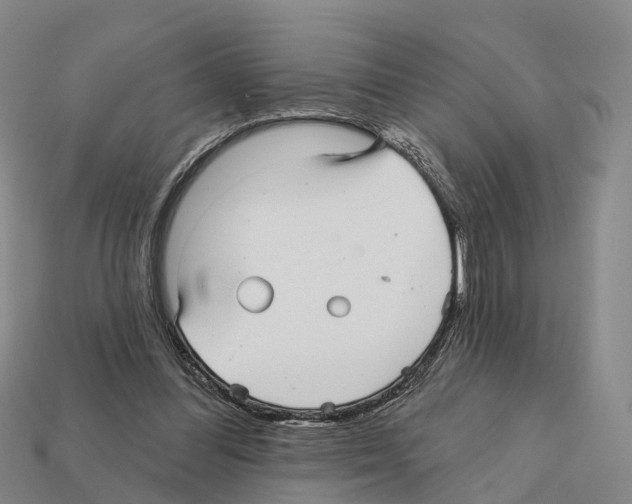 X0000112430300200909251542