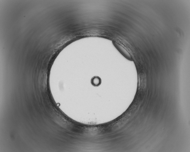 X0000112430301200909251542