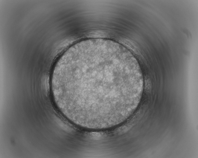 X0000112430302200909251542