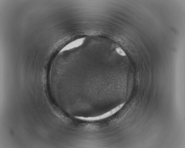 X0000112430303200909251542