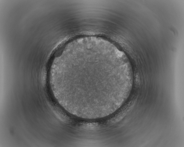 X0000112430304200909251542