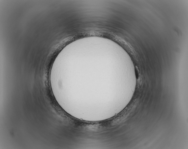 X0000112430306200909251542