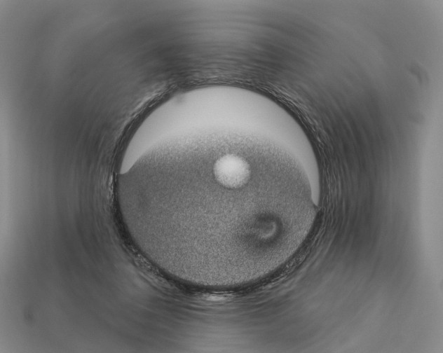X0000112430308200909251542