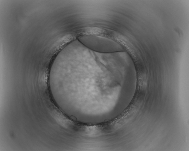 X0000112430309200909251542