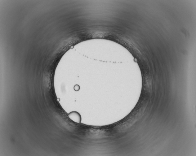 X0000112430311200909251542