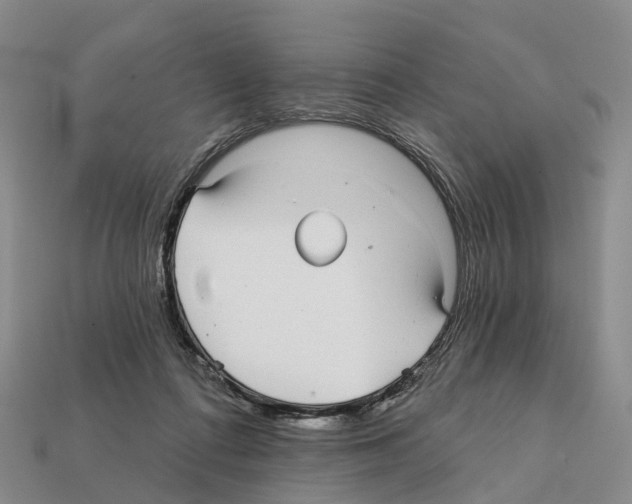X0000112430312200909251542