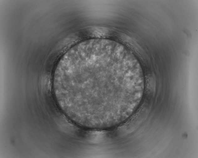 X0000112430313200909251542