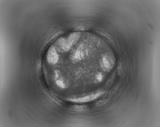 X0000112430314200909251542