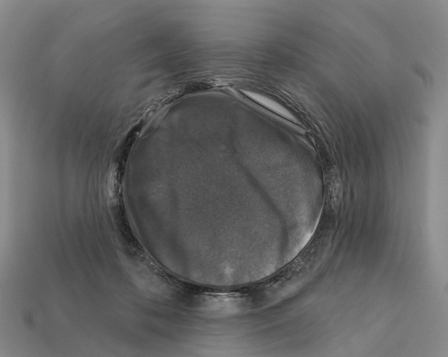 X0000112430316200909251542