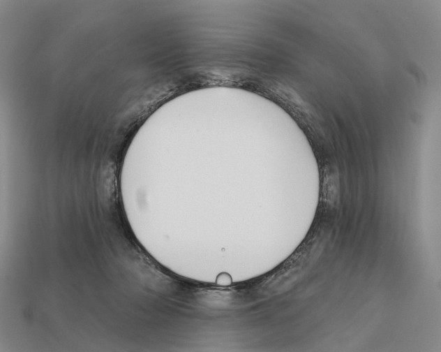 X0000112430318200909251542