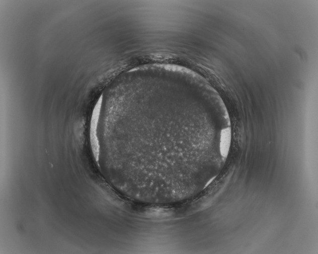 X0000112430319200909251542