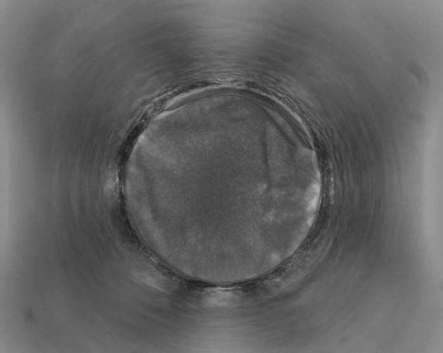 X0000112430320200909251542