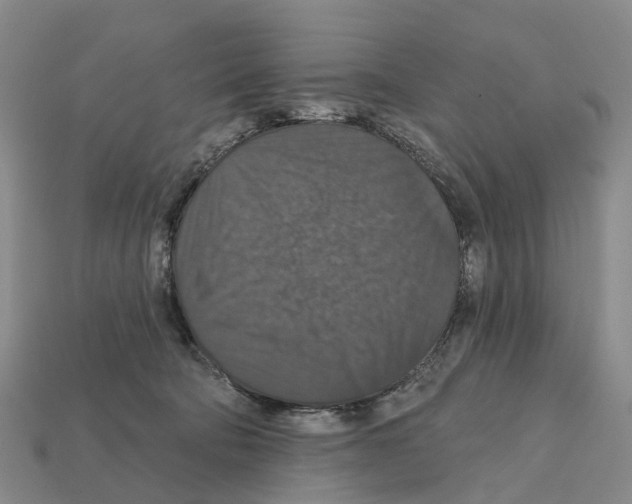 X0000112430322200909251542