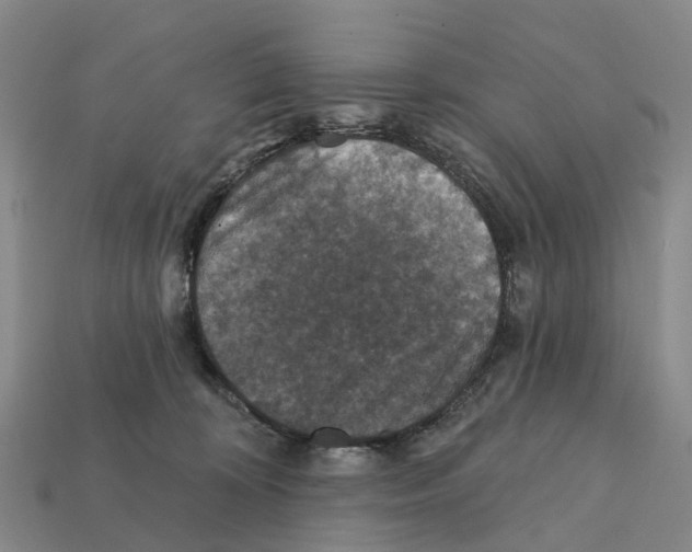 X0000112430324200909251542