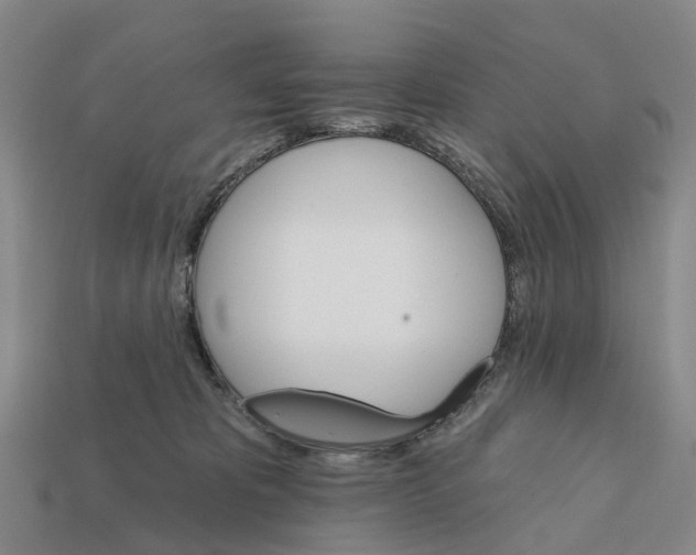 X0000112430325200909251542