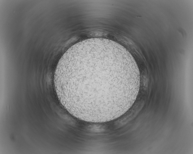 X0000112430326200909251542