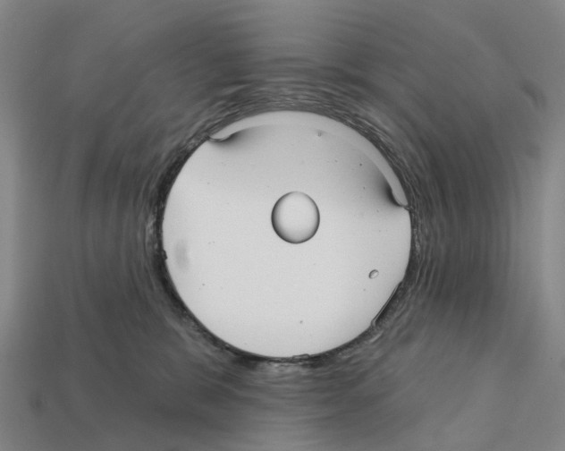 X0000112430327200909251542