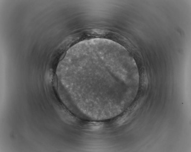 X0000112430328200909251542