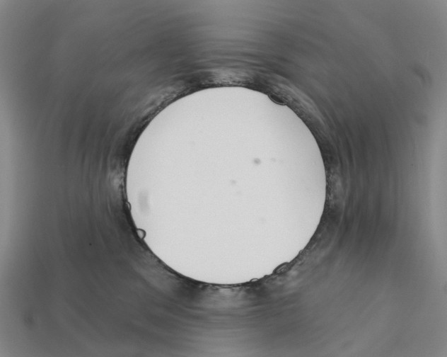 X0000112430329200909251542