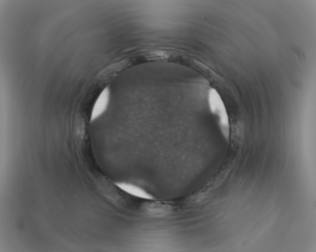 X0000112430331200909251542