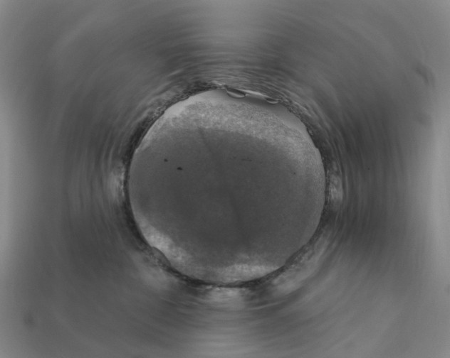 X0000112430332200909251542